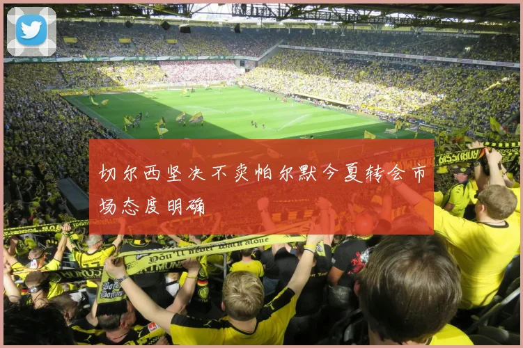 切尔西坚决不卖帕尔默今夏转会市场态度明确