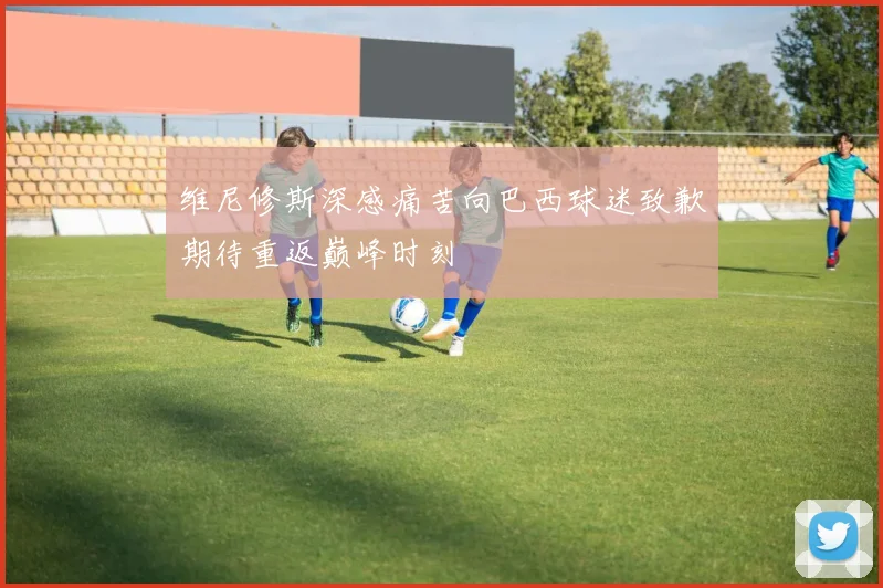 维尼修斯深感痛苦向巴西球迷致歉期待重返巅峰时刻